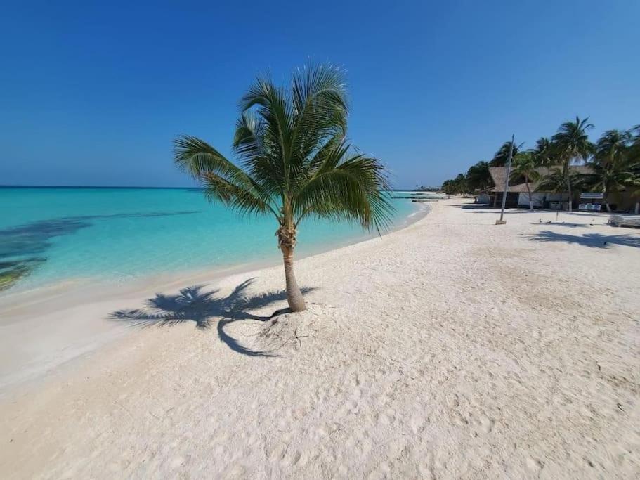 Casa Salina Lägenhet Isla Mujeres Exteriör bild